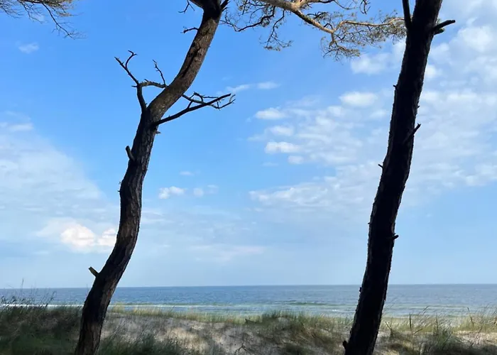 Adventure ムジェジノ